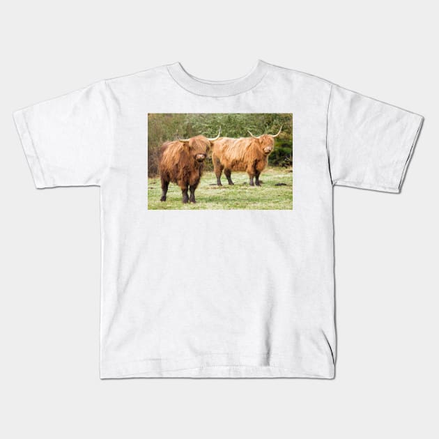 Highland Cows Coos Shaggy Moos Cattle Photo Kids T-Shirt by CreativeNatureM